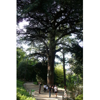 Picture France Paris Jardin des Plantes 2007-08 11 - Room Jardin des Plantes