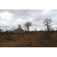 Picture South Africa Kruger National Park Crocodile River road 2008-09 61 - Shopping Crocodile River road