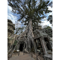 Picture Cambodia Siem Reap Ta Prohm 2023-01 11 - City Sight Ta Prohm