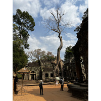 Picture Cambodia Siem Reap Ta Prohm 2023-01 21 - Cheap Room Ta Prohm