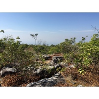 Picture Thailand Phu Hin Rong Kla National Park 2014-12 302 - Winter Phu Hin Rong Kla National Park