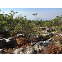 Picture Thailand Phu Hin Rong Kla National Park 2014-12 326 - To see Phu Hin Rong Kla National Park