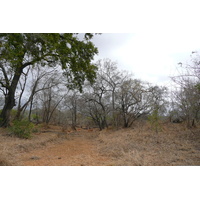 Picture South Africa Kruger National Park Crocodile River road 2008-09 18 - To see Crocodile River road