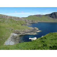 Picture United Kingdom Skye Neist Point 2011-07 34 - Spring Neist Point