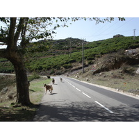 Picture France Corsica Bastia to Saint Florent Road 2006-09 34 - Saving Bastia to Saint Florent Road