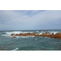 Picture South Africa Cape St Blaise 2008-09 7 - Rain Season Cape St Blaise