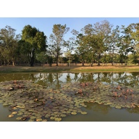 Picture Thailand Sukhothai 2014-12 73 - City View Sukhothai