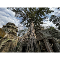 Picture Cambodia Siem Reap Ta Prohm 2023-01 59 - Restaurants Ta Prohm