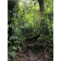 Picture Guadeloupe Carbet Falls 2021-02 5 - Sunset Carbet Falls