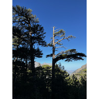 Picture France Corsica Monte Cinto 2023-10 98 - Winter Monte Cinto