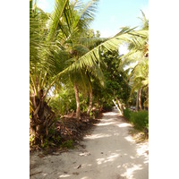 Picture Seychelles Anse Lazio 2011-10 36 - Streets Anse Lazio