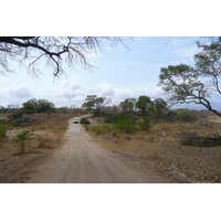 Picture South Africa Kruger National Park Crocodile River road 2008-09 53 - Spring Crocodile River road