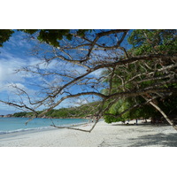 Picture Seychelles Anse Lazio 2011-10 37 - Savings Anse Lazio