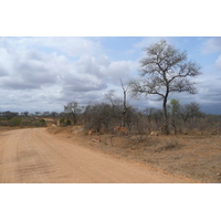 Picture South Africa Kruger National Park Crocodile River road 2008-09 14 - To see Crocodile River road