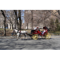 Picture United States New York Central Park 2006-03 28 - Cheap Room Central Park