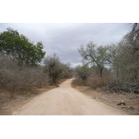 Picture South Africa Kruger National Park Sable River 2008-09 14 - Lands Sable River