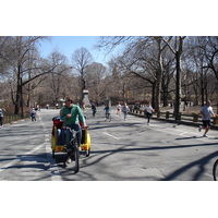 Picture United States New York Central Park 2006-03 70 - Price Central Park