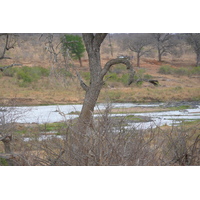 Picture South Africa Kruger National Park Crocodile River 2008-09 10 - Cost Crocodile River