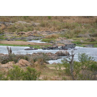 Picture South Africa Kruger National Park Crocodile River 2008-09 16 - Hotel Crocodile River