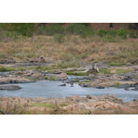 Picture South Africa Kruger National Park Crocodile River 2008-09 23 - Waterfalls Crocodile River