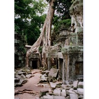 Picture Cambodia Angkor 1996-06 27 - Street Angkor