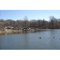 Picture United States New York Central Park 2006-03 54 - Winter Central Park