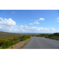 Picture South Africa Cape of Good Hope Cape Point 2008-09 79 - Spring Cape Point