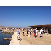 Picture Greece Delos 2014-07 177 - City Sight Delos