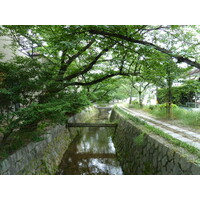 Picture Japan Kyoto 2010-06 14 - Rain Season Kyoto