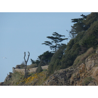 Picture France St Coulomb Du Guesclin Bay 2010-04 4 - Saving Du Guesclin Bay