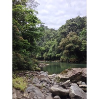 Picture Costa Rica Pacuare River 2015-03 252 - SPA Pacuare River