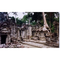 Picture Cambodia Angkor 1996-06 58 - Hotel Pool Angkor