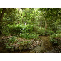 Picture Japan Kyoto Kamomioya Shrine(Shimogamo Shrine) 2010-06 6 - Room Kamomioya Shrine(Shimogamo Shrine)