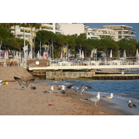 Picture France Cannes Beach 2008-04 47 - Night Beach