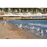 Picture France Cannes Beach 2008-04 53 - City Sight Beach