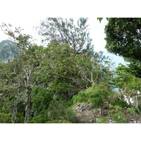 Picture Fiji Castaway Island 2010-05 49 - Streets Castaway Island