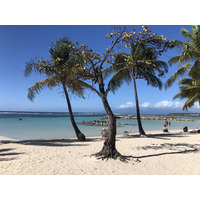 Picture Guadeloupe Sainte Anne 2021-02 77 - Winter Sainte Anne