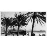 Picture France Corsica Old Postcards 1900-01 286 - Saving Old Postcards