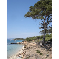 Picture France Porquerolles Island 2006-06 37 - Hotel Pools Porquerolles Island