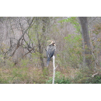 Picture South Africa Kruger National Park Sable River 2008-09 31 - City Sight Sable River