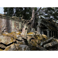 Picture Cambodia Siem Reap Ta Prohm 2023-01 137 - Rental Ta Prohm