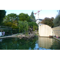 Picture France Nice Phoenix Parc 2007-10 69 - Waterfall Phoenix Parc