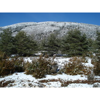 Picture France Coursegoule to Greolieres les neiges road 2007-01 93 - Price Coursegoule to Greolieres les neiges road