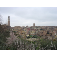 Picture Italy Siena 2004-03 37 - Summer Siena