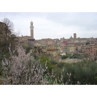 Picture Italy Siena 2004-03 43 - Hot Season Siena