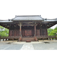 Picture Japan Kyoto Ninna ji Temple 2010-06 25 - Hot Season Ninna ji Temple