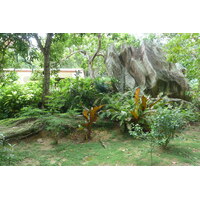 Picture Seychelles La Digue 2011-10 233 - Transport La Digue