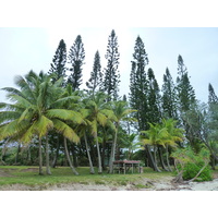 Picture New Caledonia Ile des pins Kuto Beach 2010-05 15 - Hotel Pools Kuto Beach