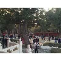 Picture China Beijing Forbidden City 2015-12 192 - Saving Forbidden City