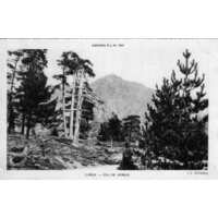 Picture France Corsica Old Postcards 1900-01 111 - Cheap Room Old Postcards